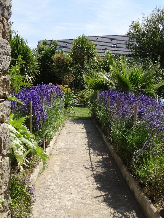 Gite "Rose Des Sables" - 800M De La Plage De Surtainville, Proche Commerces - Piscine En Juillet Et Aout Zimmer foto